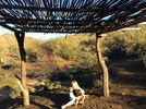 photo thumbnail #8