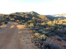 photo thumbnail #13