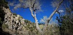photo thumbnail #11