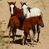 photo thumbnail #4