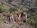 photo thumbnail #7