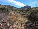 photo thumbnail #8