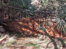 photo thumbnail #9