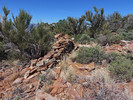 photo thumbnail #3