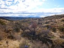 photo thumbnail #9