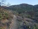 photo thumbnail #1