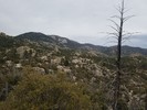 photo thumbnail #13