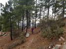 photo thumbnail #14