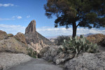 photo thumbnail #12