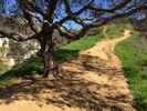 photo thumbnail #9