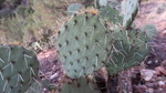 photo thumbnail #5