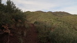 photo thumbnail #11
