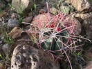 photo thumbnail #4