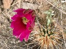 photo thumbnail #11