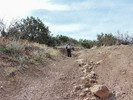 photo thumbnail #6