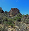 photo thumbnail #6