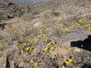 photo thumbnail #10