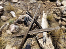 photo thumbnail #12