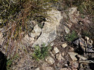 photo thumbnail #13