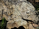 photo thumbnail #14