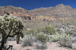 photo thumbnail #5