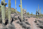 photo thumbnail #7