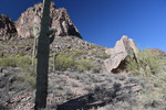 photo thumbnail #8