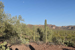 photo thumbnail #11
