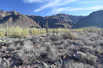 photo thumbnail #3