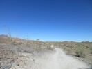 photo thumbnail #2