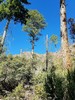 photo thumbnail #10