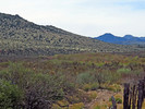 photo thumbnail #11