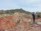 photo thumbnail #12