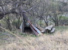 photo thumbnail #4