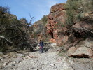 photo thumbnail #5
