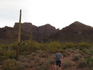 photo thumbnail #1
