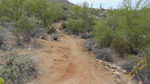 photo thumbnail #13