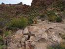 photo thumbnail #1