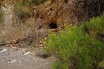 photo thumbnail #10