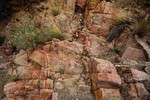 photo thumbnail #11