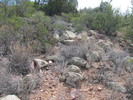 photo thumbnail #9
