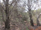 photo thumbnail #10