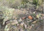 photo thumbnail #1