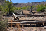 photo thumbnail #3