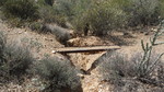 photo thumbnail #4