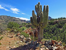 photo thumbnail #12