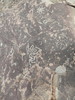photo thumbnail #15
