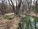 photo thumbnail #8