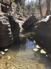 photo thumbnail #3