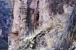 photo thumbnail #11